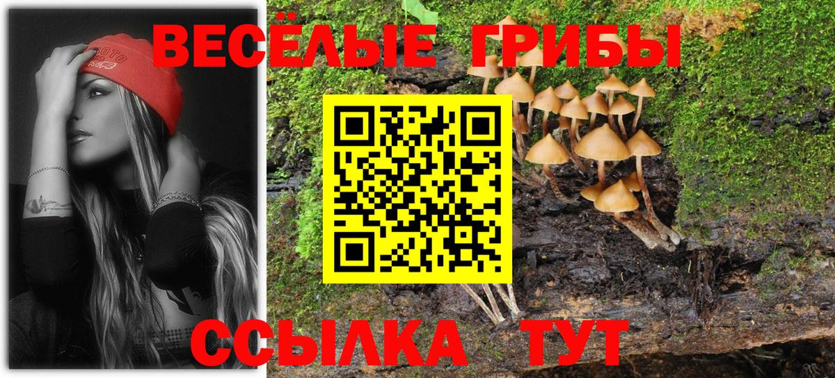 Псилоцибиновые грибы GOLDEN TEACHER  Вход с VPN  даркнет сайт  Псилоцибиновые грибы MAGIC MUSHROOMS  Тольятти 